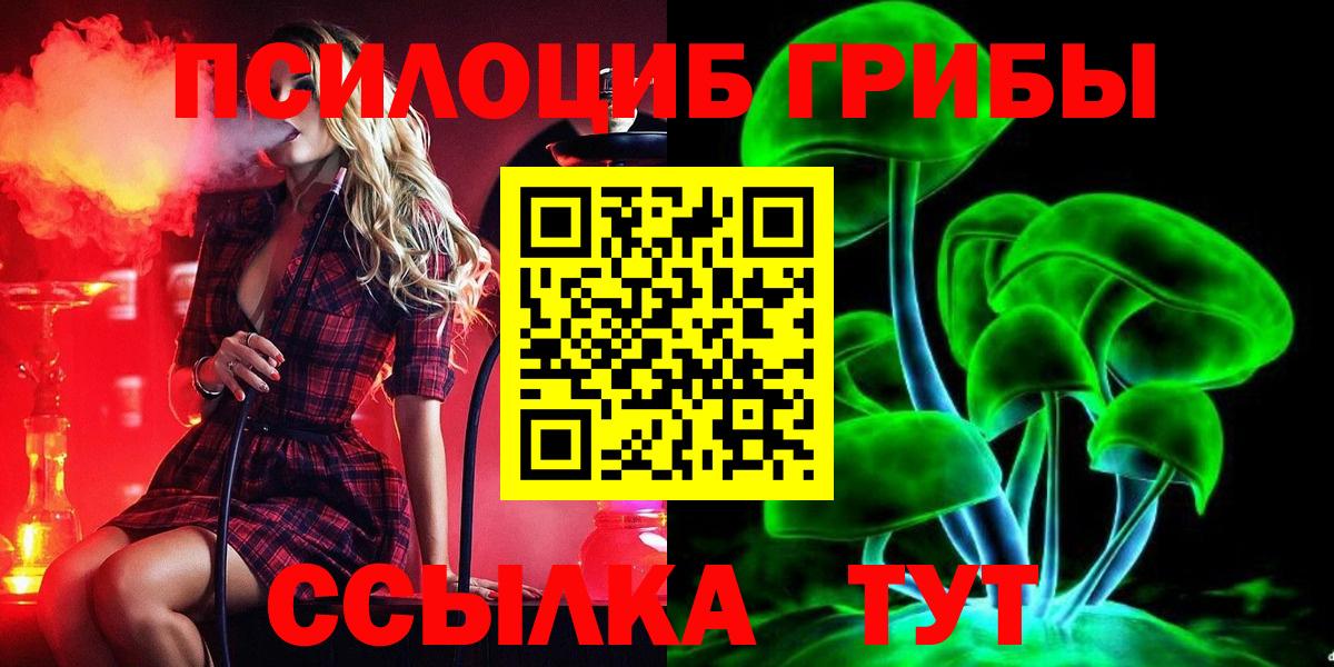 Миллерово  Псилоцибиновые грибы Psilocybine cubensis  Вход с VPN 